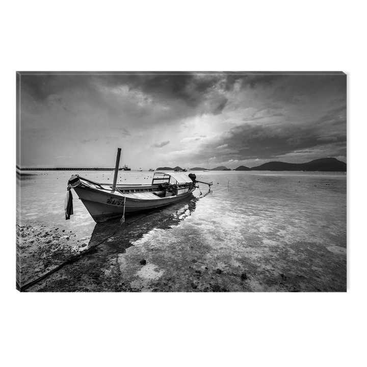 Tablou Alb-Negru Abstract Startonight, Dimineata la pescuit, luminos in intuneric, 60 x 90 cm