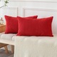 Комплект от 2 калъфки за възглавници 40x60см JOTOM с текстура на рипсено кадифе, невидим цип, меки декоративни калъфки за възглавници за дома, декоративна възглавница, червен