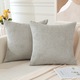 Комплект от 2 калъфки за възглавници 45x45cm JOTOM с текстура на кадифе, невидим цип, меки декоративни калъфки за дома, хвърлени възглавници, светлосив