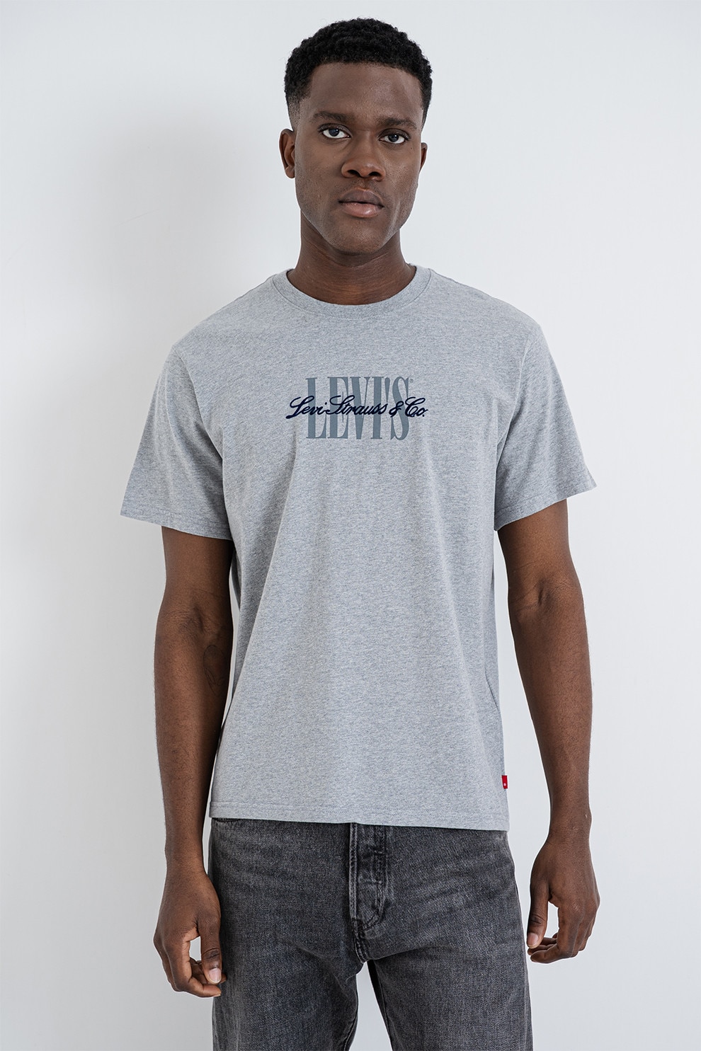 Levi's, Tricou lejer de bumbac, Gri deschis, L
