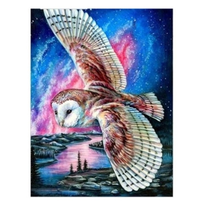Mozaic de diamant Bufnita care zboara pe un fundal de culori 30x40cm Norimpex