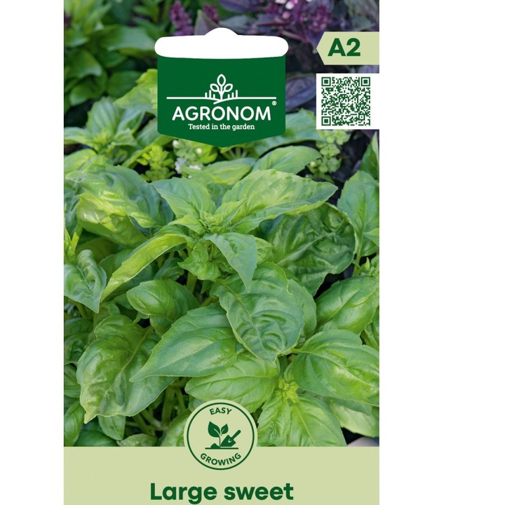 Seminte, Busuioc Large Sweet, Plante Aromatice, Agronom, plic, 1 gram