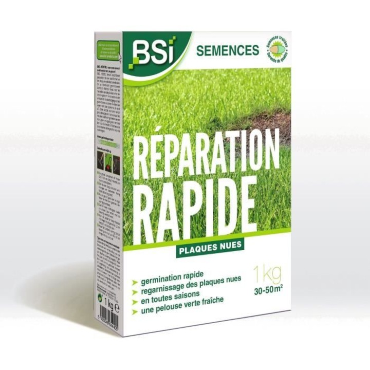 Seminte de iarba, BSI, Reparare rapida, 1Kg, pana la 50m