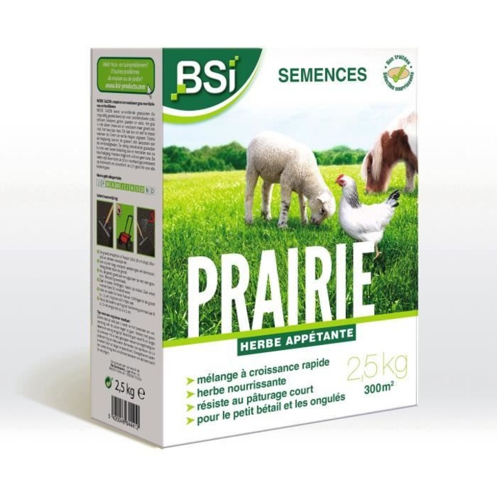 Seminte de iarba BSI - Pajiste - 7.5Kg - Suprafata mare - pana la 375m²