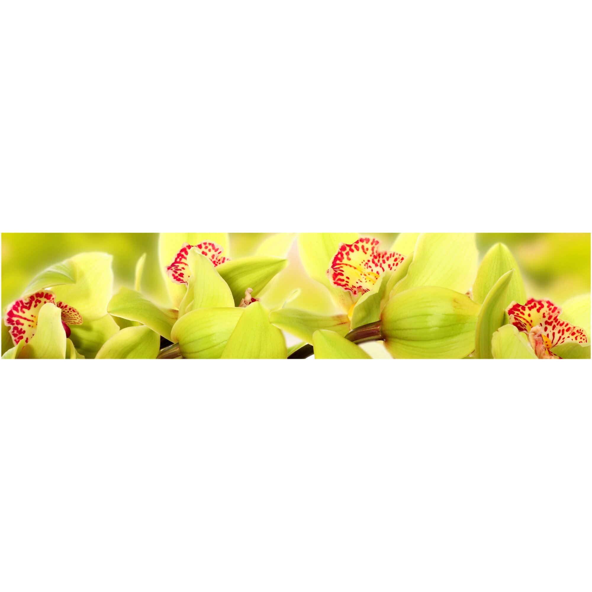 Panou decorativ DEGRETS 91509 Orhidee 10 61 cm x 2.80 m x 6 mm