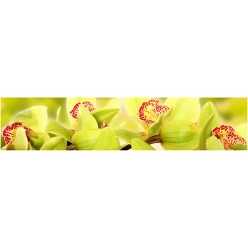 Panou decorativ DEGRETS 91509 Orhidee 10 61 cm x 2.80 m x 6 mm Panou decorativ DEGRETS 91509 Orhidee 10 61 cm x 2.80 m x 6 mm