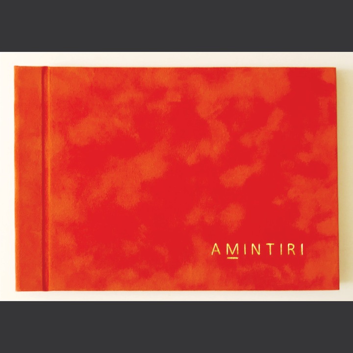 Album foto, cu coperta cartonata, imbracata cu plus portocaliu, 6 file 19x14 cm, 6 poze