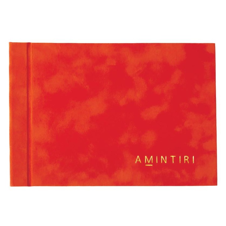 Album foto, cu coperta cartonata, imbracata cu plus portocaliu, 6 file 19x14 cm, 12 poze AMBA