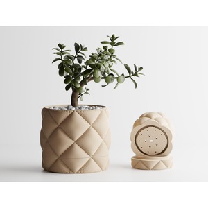 Саксии и цветарници