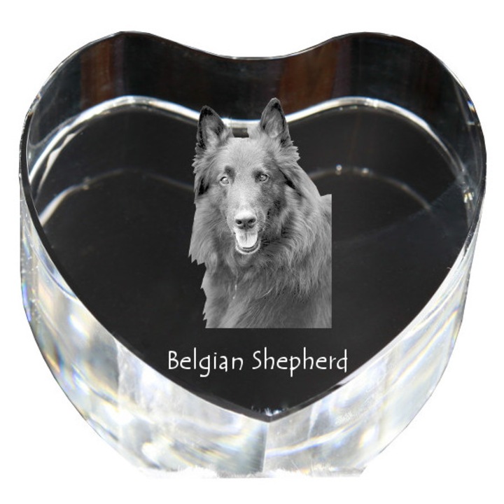 Inima din cristal cu fotografie personalizata, Art-Dog, 7,5x8x5cm, decorativa, Model ciobanesc belgian