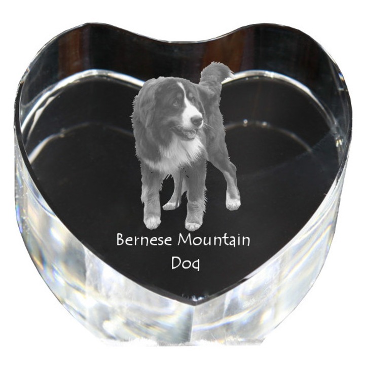 Kristály szív személyre szabott fényképpel, Art-Dog, 7,5x8x5cm, dekoratív, berni pásztorkutya modell