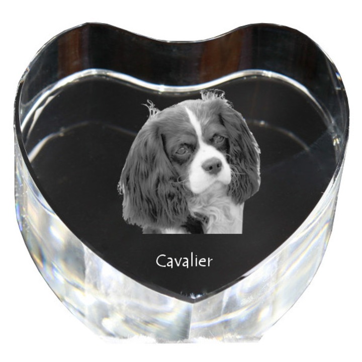 Kristály szív személyre szabott fényképpel, Art-Dog, 7,5x8x5cm, dekoratív, Cavalier modell