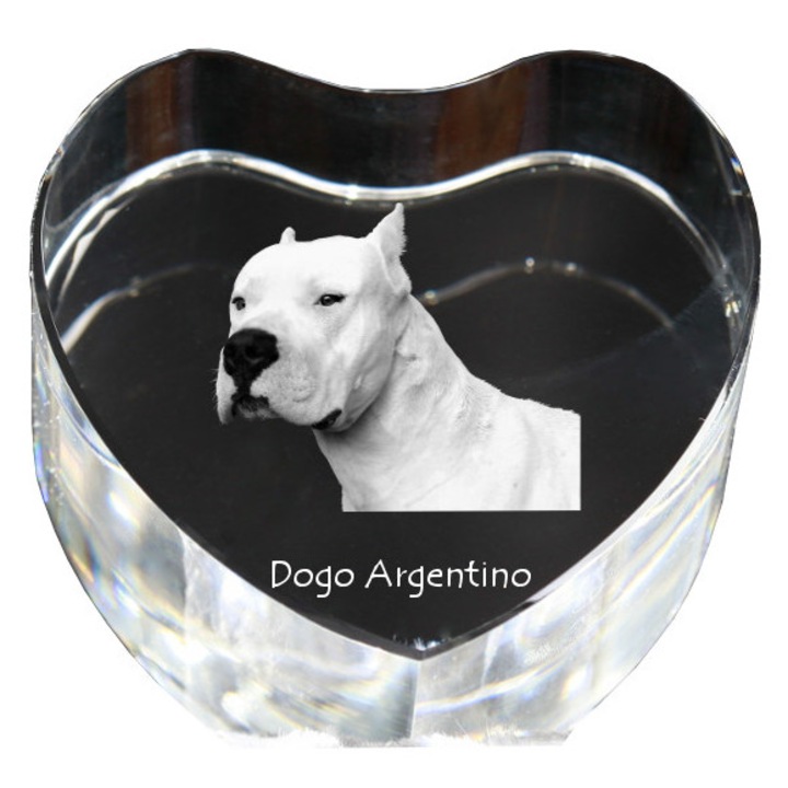 Kristály szív személyre szabott fényképpel, Art-Dog, 7,5x8x5cm, dekoratív, Dogo Argentino modell