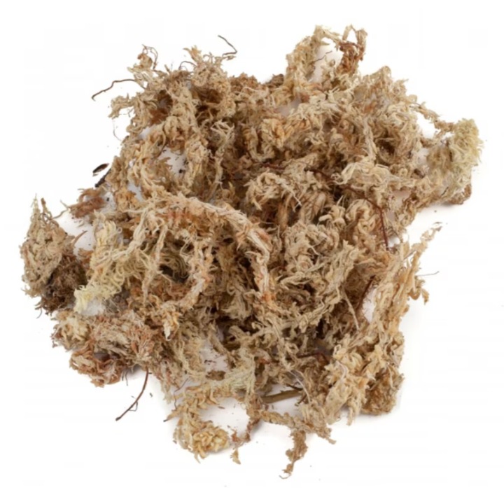 Muschi de Sphagnum Moss Premium vidat -uscat din Chile 30grame, pentru ghiveci 2Litri