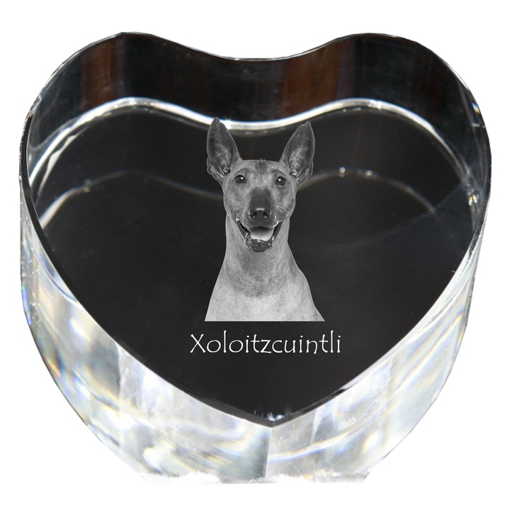 Kristály szív személyre szabott fényképpel, Art-Dog, 7,5x8x5cm, dekoratív Xoloitzquintle modell