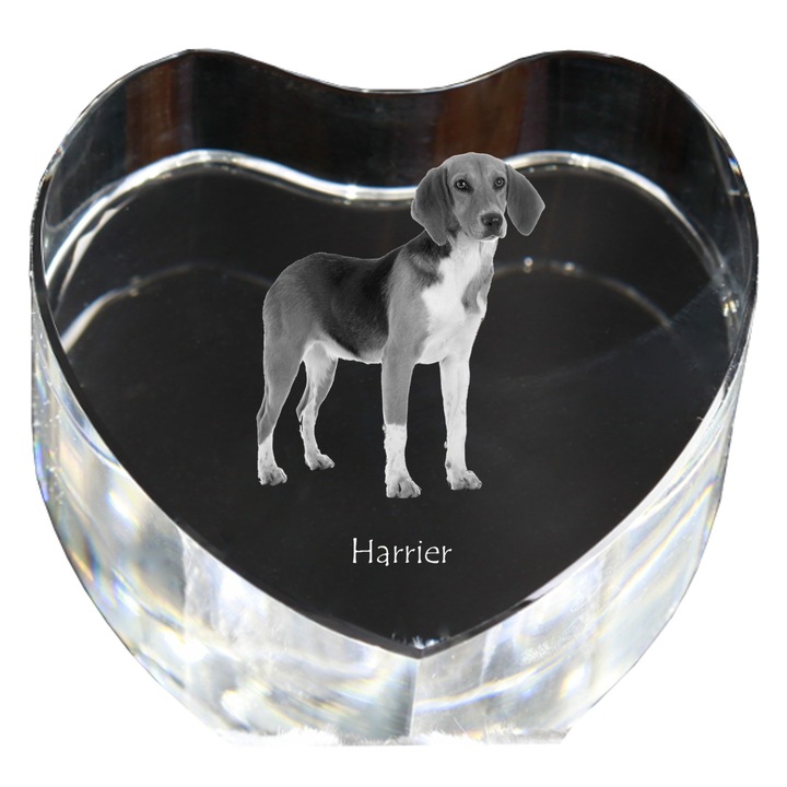 Kristály szív személyre szabott fényképpel, Art-Dog, 7,5x8x5cm, harrier modell