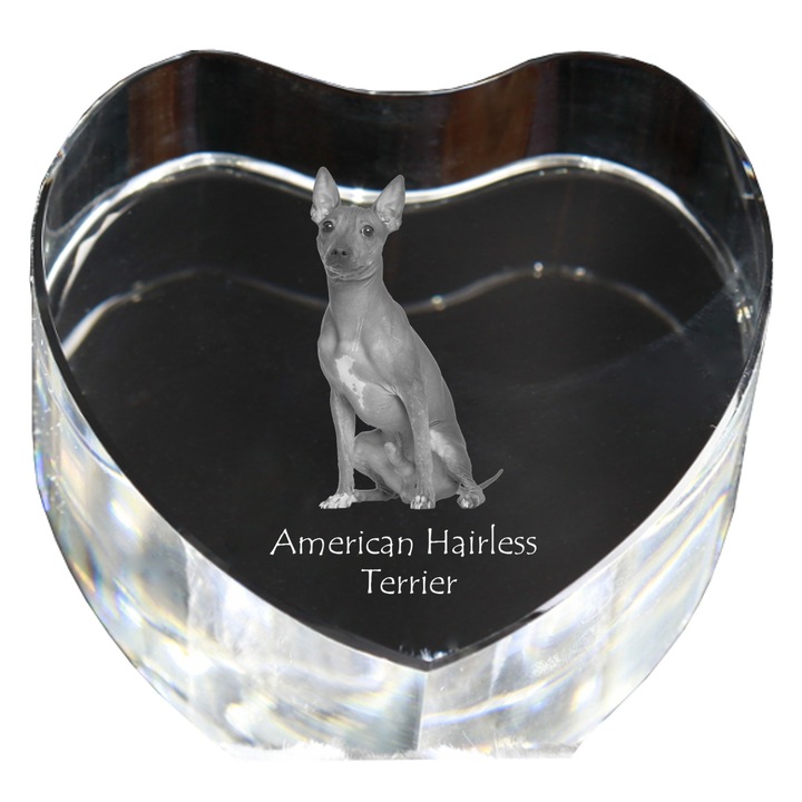 Kristály szív személyre szabott fényképpel, Art-Dog, 7,5x8x5cm, dekoratív, Amerikai terrier modell