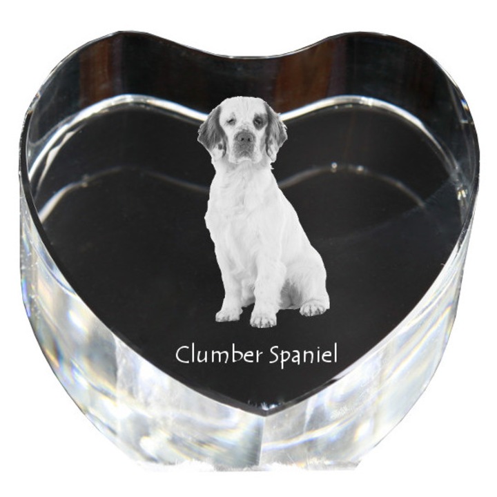 Kristály szív személyre szabott fotóval, Art-Dog, 7,5x8x5cm, dekoratív, Clumber spániel modell