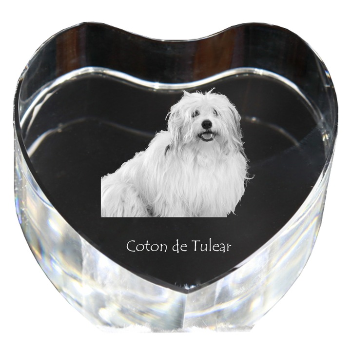 Inima din cristal cu fotografie personalizata, Art-Dog, 7,5x8x5cm, decorativa, model Coton de Tulear