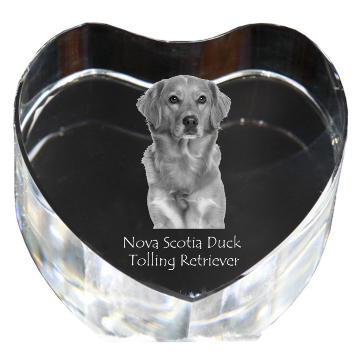 Kristály szív személyre szabott fényképpel, Art-Dog, 7,5x8x5cm, dekoratív, Nova Scotia Duck Tolling Retriever modell