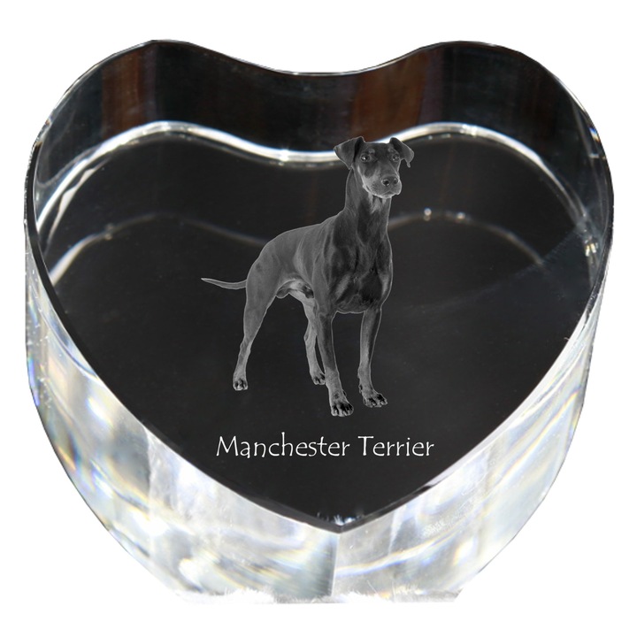 Kristály szív személyre szabott fényképpel, Art-Dog, 7,5x8x5cm, Manchester Terrier modell