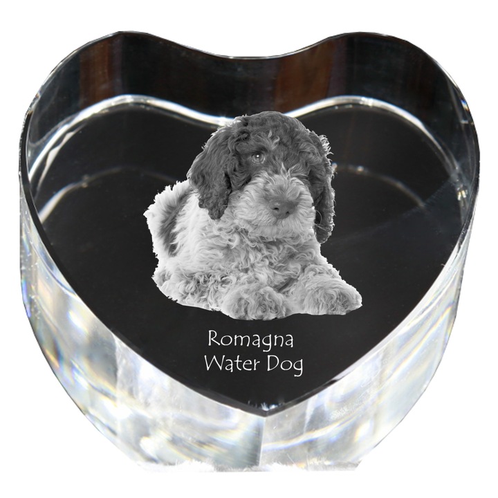 Kristály szív személyre szabott fényképpel, Art-Dog, 7,5x8x5cm, dekoratív, Romagna vízi kutya modell