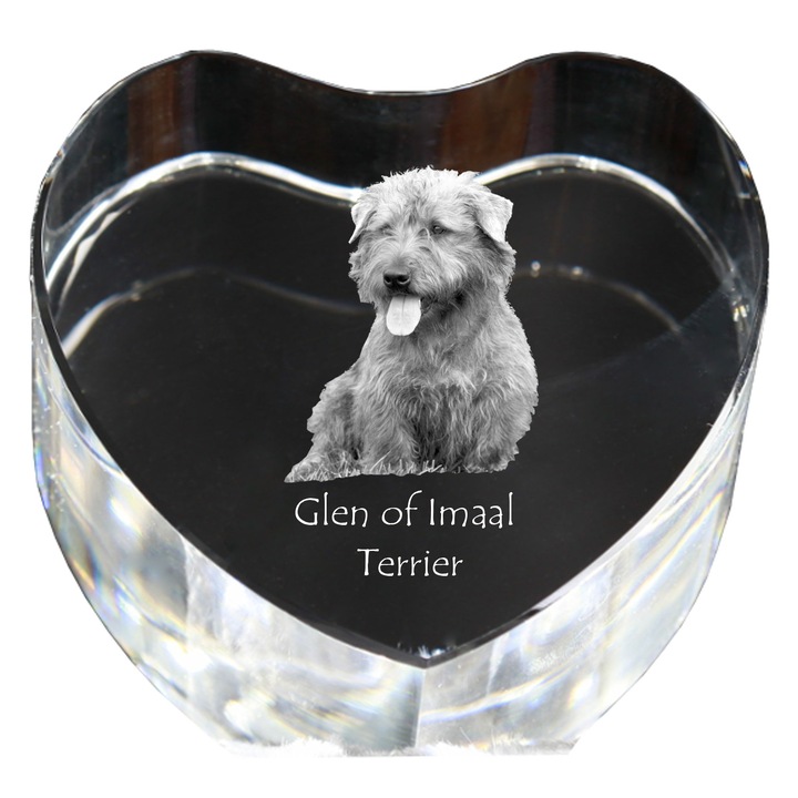 Kristály szív személyre szabott fényképpel, Art-Dog, 7,5x8x5cm, dekoratív, Glen of Imaal Terrier modell