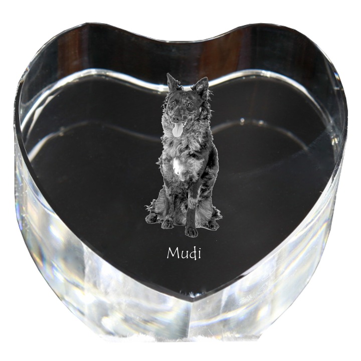 Kristály szív személyre szabott fényképpel, Art-Dog, 7,5x8x5cm, dekoratív, magyar mudi juhászkutya modell