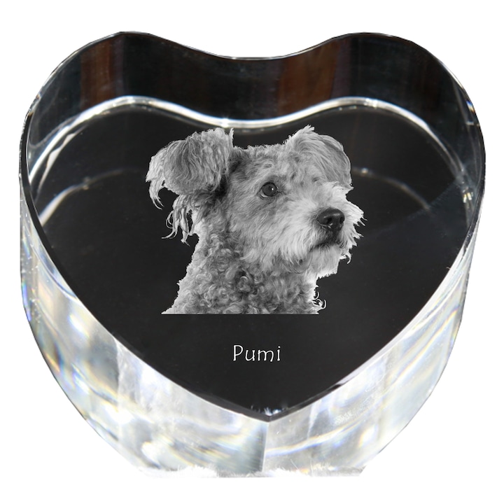 Kristály szív személyre szabott fényképpel, Art-Dog, 7,5x8x5cm, dekoratív, Pumi modell