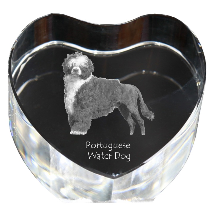 Kristály szív személyre szabott fényképpel, Art-Dog, 7,5x8x5cm, dekoratív, portugál vízi kutya modell