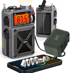 Radio cu ceas & portabile