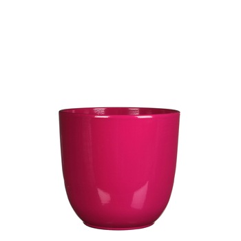 Ghiveci ceramic rotund Tusca, culoare fuchsia, cu inaltimea de 11 cm, diametrul de 12 cm, cu finisaj lucios, pentru plante de interior mici precum cactusii si suculentele Ghiveci ceramic rotund Tusca, culoare fuchsia, cu inaltimea de 11 cm, diametrul de 12 cm, cu finisaj lucios, pentru plante de interior mici precum cactusii si suculentele
