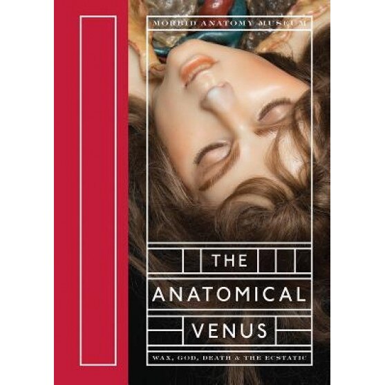 The Anatomical Venus: Wax, God, Death & the Ecstatic, Joanna Ebenstein (Author)