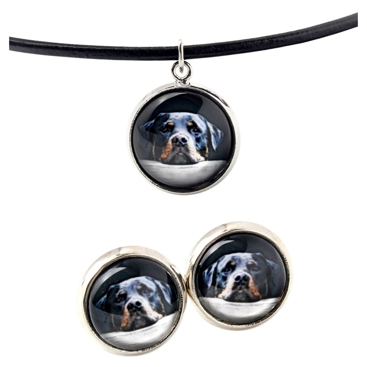 Set bijuterii personalizate cu fotografii, Art-Dog, colier 50cm, cercei cu diametru 10mm, argintiu, sticla