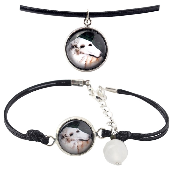 Set bijuterii personalizate cu fotografie, Art-Dog, bratara si colier, argintie, 50cm x 16-18,5cm, sticla
