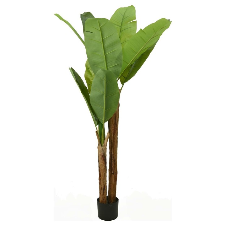 Bananier Artificial In Ghiveci, Progarden, Aspect Natural, Decor Impresionant Pentru Interior, Inaltime Mare, Nu Necesita Udare, Usor De Intretinut, Atrage Privirea, Decor Pe Tot Parcursul Anului, 160 Cm