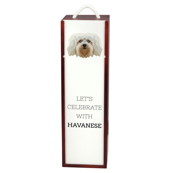 Cutie cadou pentru vin, Art-Dog, geometric, 35x10x10cm, din lemn