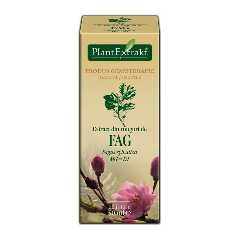 Extract din muguri de fag 50 ml (FAGUS SYLVATICA) - Plantextrakt