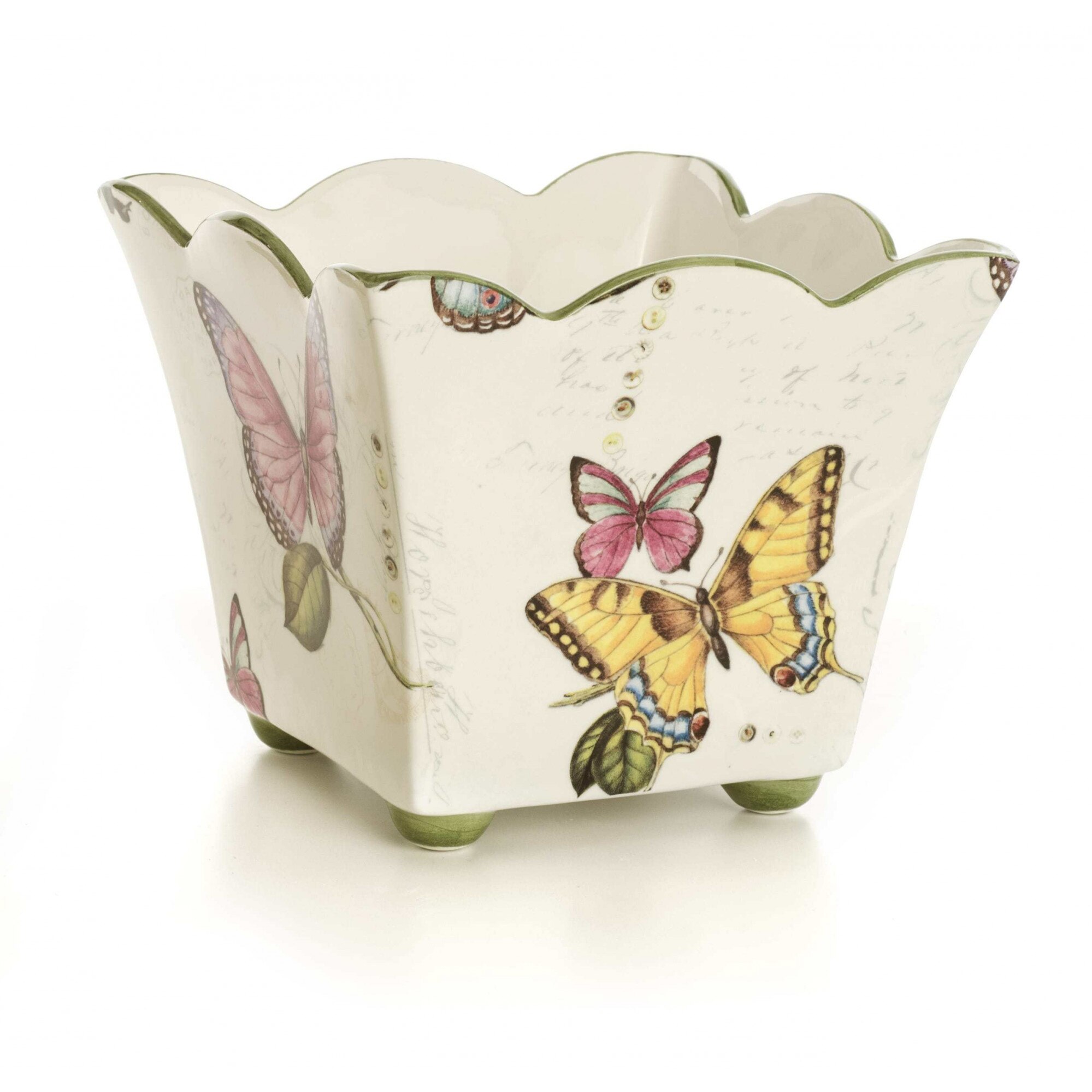 Ghiveci, SM, Papillon, L 20cm