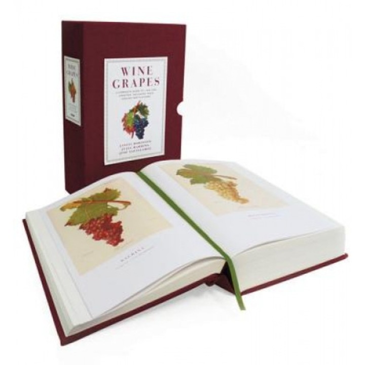Wine Grapes: A Complete Guide to 1,368 Vine Varieties, Including Their Origins and Flavours, Jancis Robinson (Author)