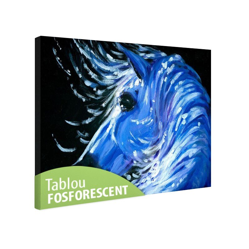 Tablou fosforescent Cal pictat, 30x20 cm