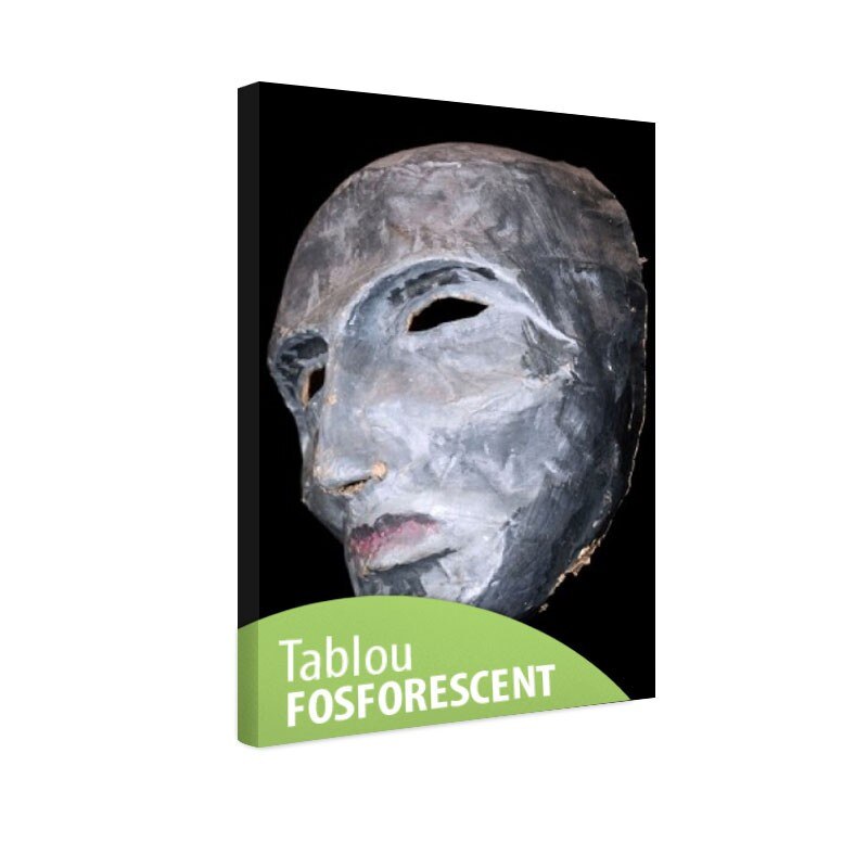 Tablou fosforescent Masca de fier, 30x20 cm