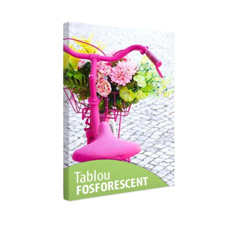 Tablou fosforescent Bicicleta roz, 30x20 cm