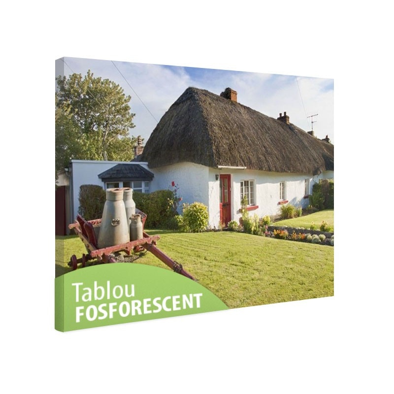 Tablou fosforescent Casa traditionala in Irlanda, 30x20 cm