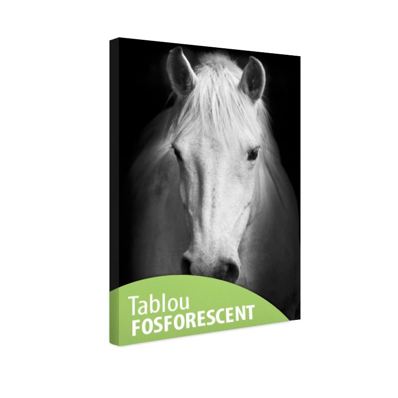 Tablou fosforescent Portret de cal alb, 120x80 cm