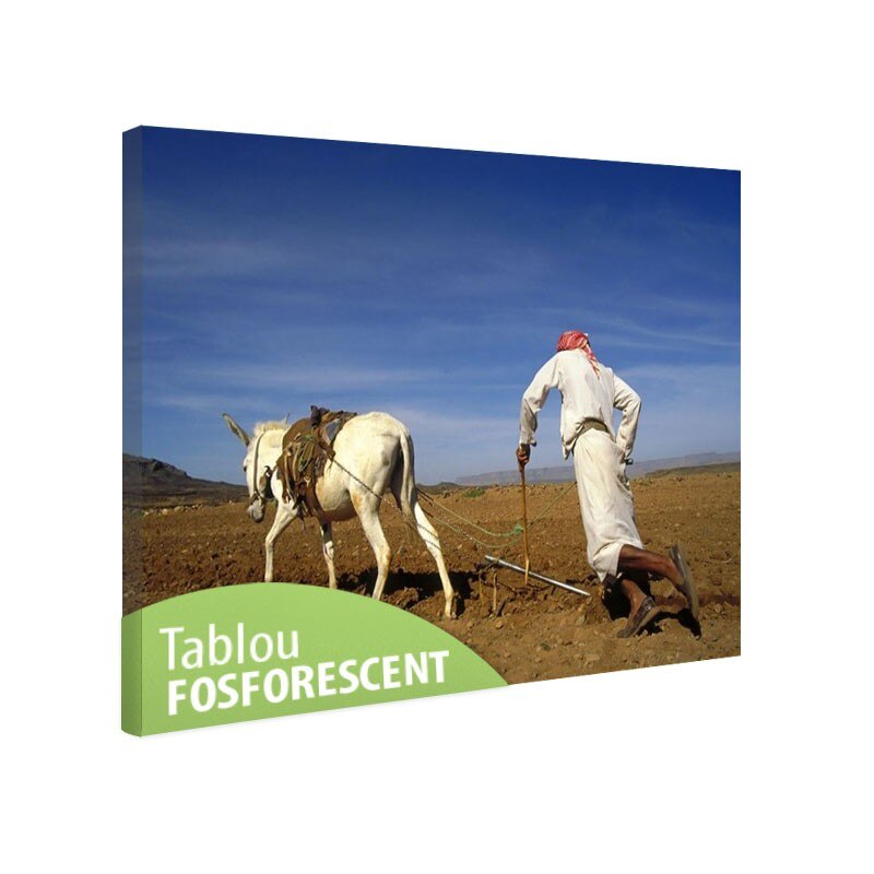 Tablou fosforescent La origini, 30x20 cm