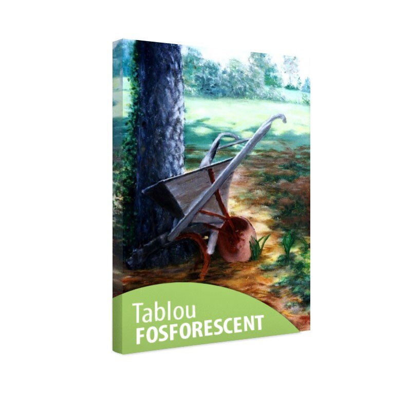 Tablou fosforescent Roaba, 30x20 cm