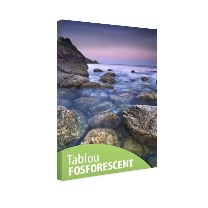 Tablou fosforescent Spiritul marii, 30x20 cm