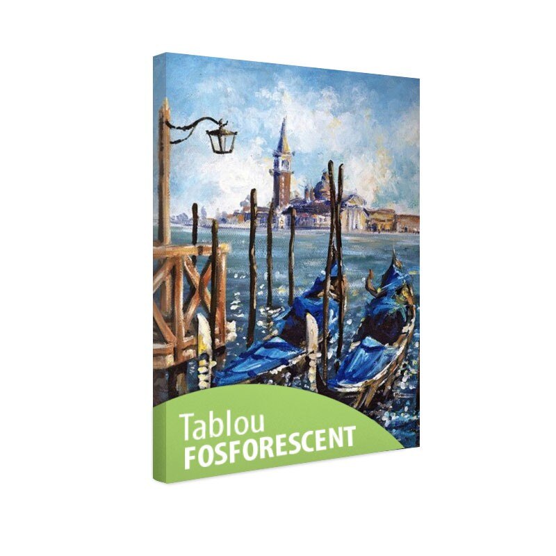 Tablou fosforescent Venetia, 30x20 cm