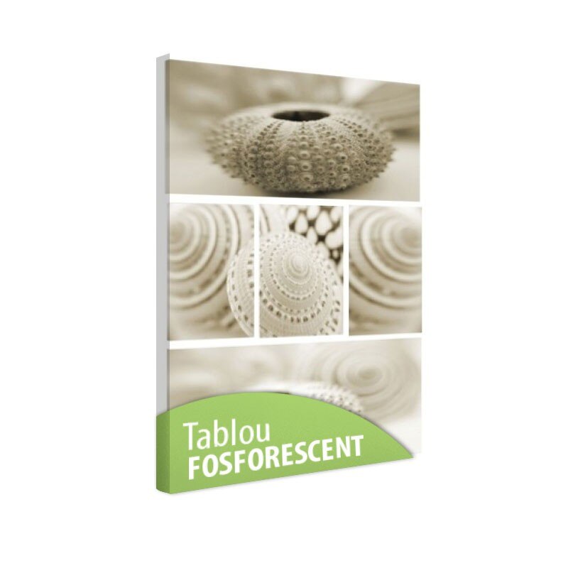 Tablou fosforescent Scoici, 90x52 cm